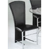 Manteca Side Chair 12119 (A)