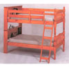 Bunk Bed With Bookcase  5500  (PKC)