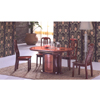 5 Piece Dining Set DT-01/DTC-01(ALA)