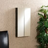 Double Door Wall Mount Jewelry Mirror JS8280 (SEIFS)