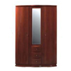 2 Door Wardrobe With Mirror P189W3(PK)