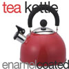 Enamel Coated Tea KettleTK10349(HDS)