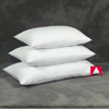Standard Pillow Collection X7LECONO_(AHR)