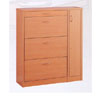 Shoe Cabinet ES-26016(VF)