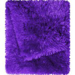 In The Zone Plush Cozy Throw 002264398(WFS19)