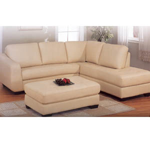 Palm Beach Sofa Sectional 500361 (CO)