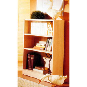 3-Shelf Bookcase 5993 (IEM)