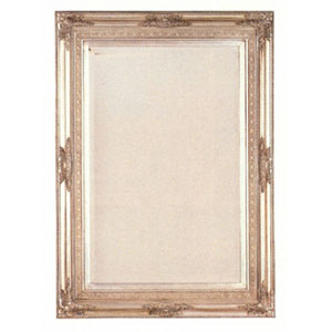 Antique Silver Finish Frame With Bevelled Mirror 8609 (CO)