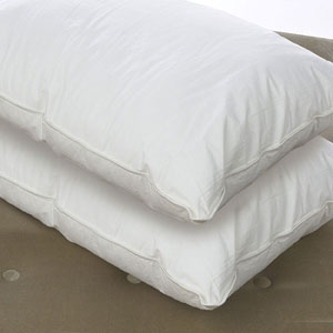 Set Of 4 Down Alternative Standard Pillow (RPT)