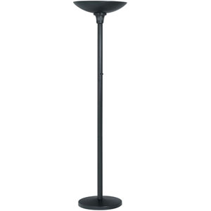 Servo Floor Lamp LS-9913_ (LS)