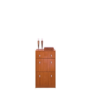 Shoe Cabinet SB-236(ACEFS65)