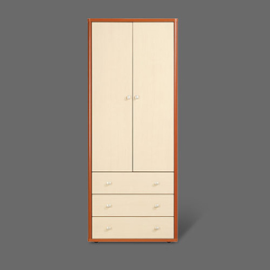 2-Door 3-Drawer Wardrobe SB-311(ACE)