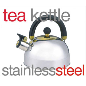 Stainless Steel Tea Kettle TK00207(HDS)