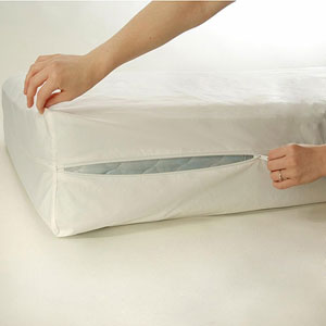 Zippered Mattress Protector RN24658(EAFS)